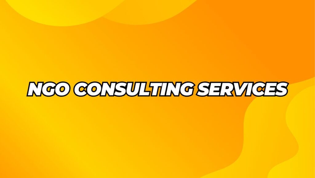 NGO Consulting Services